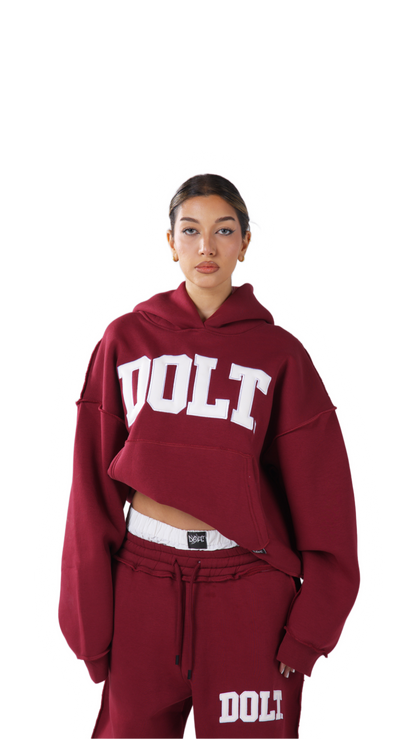 BURGUNDY LEATHER HOODIE